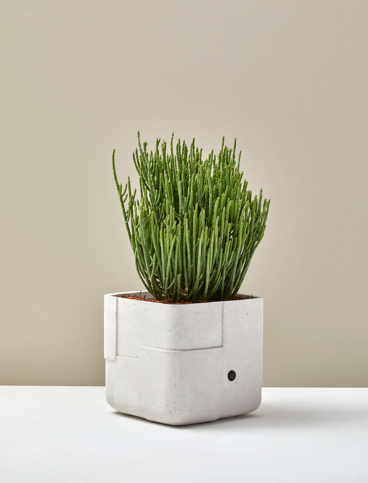 Aarde Planter – Square XS Outdoor Planters Indigenus