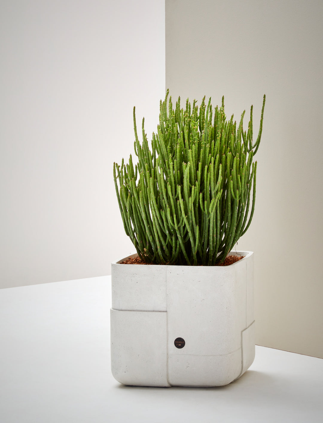 Aarde Planter – Square XS Outdoor Planters Indigenus
