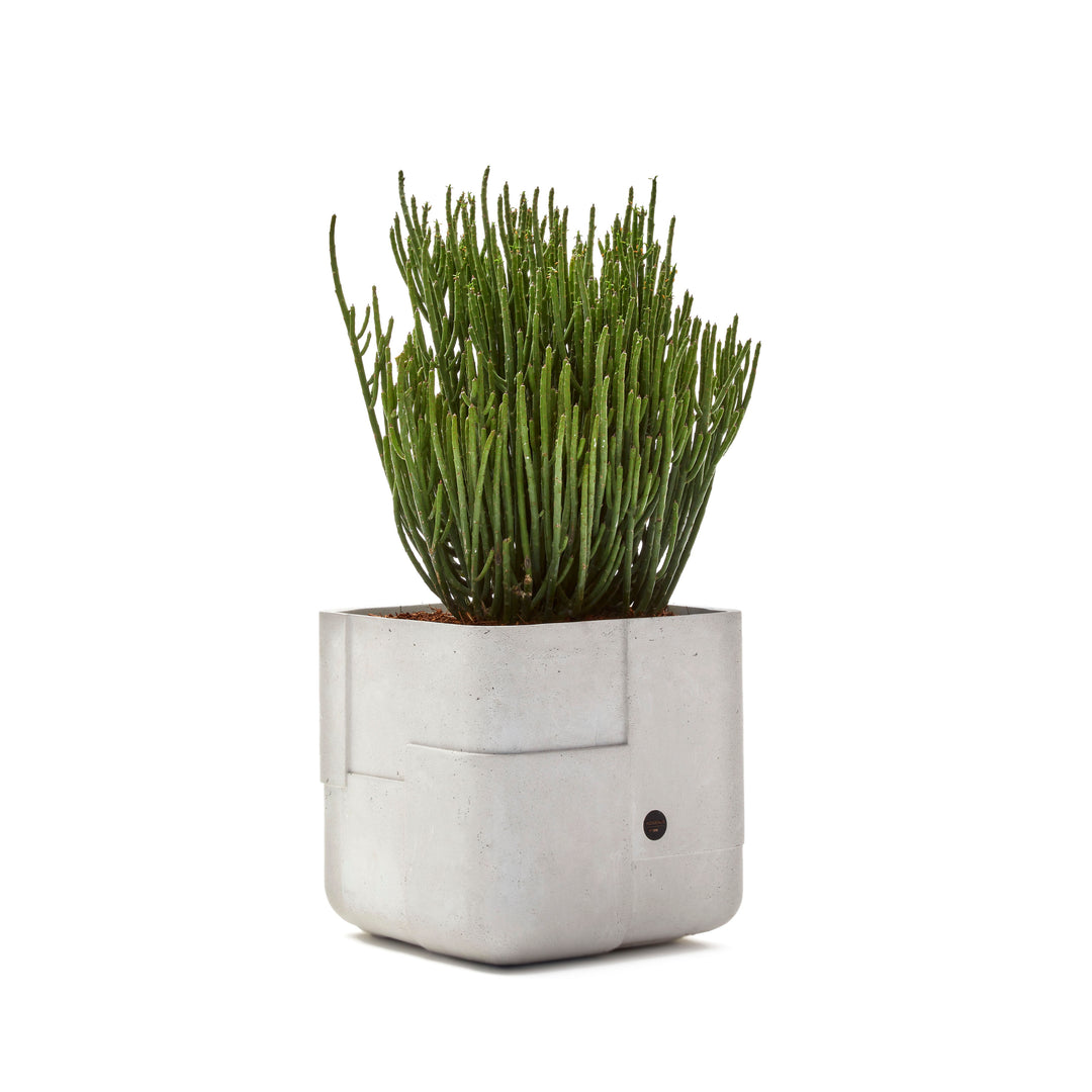 Aarde Planter – Square XS Outdoor Planters Indigenus