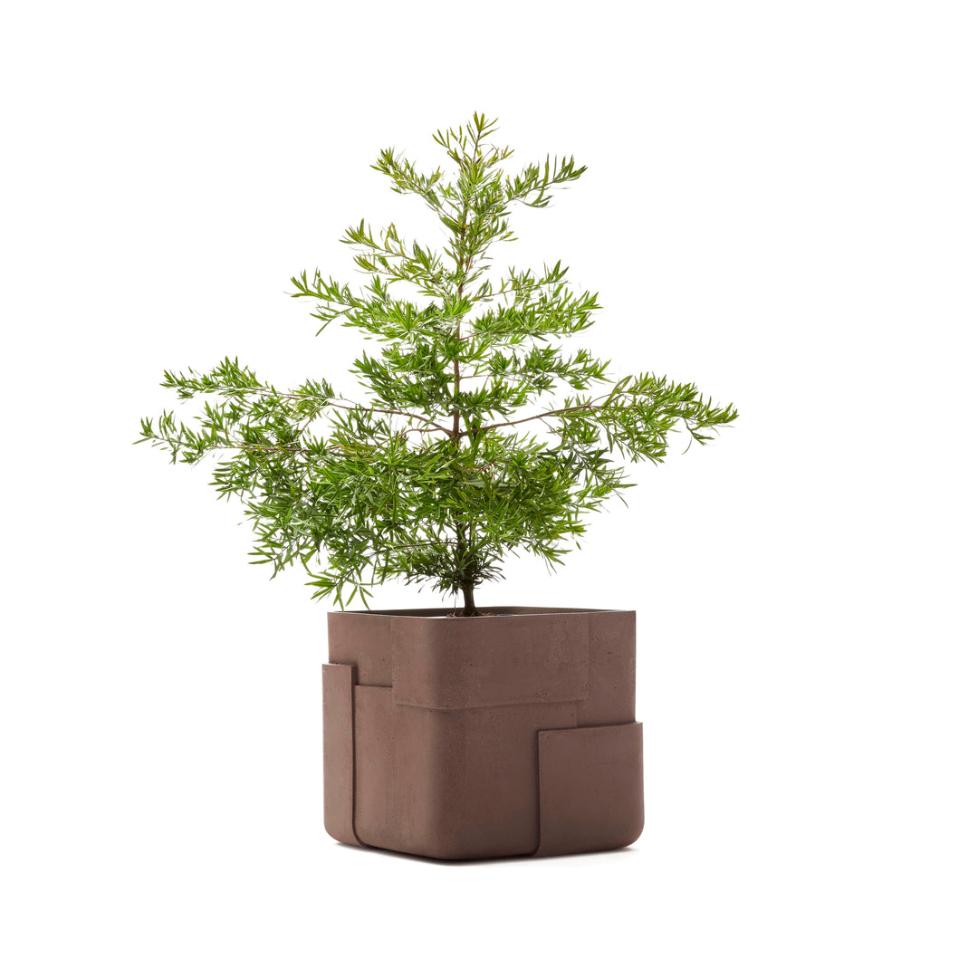Aarde Planter – Square Outdoor Planters Indigenus
