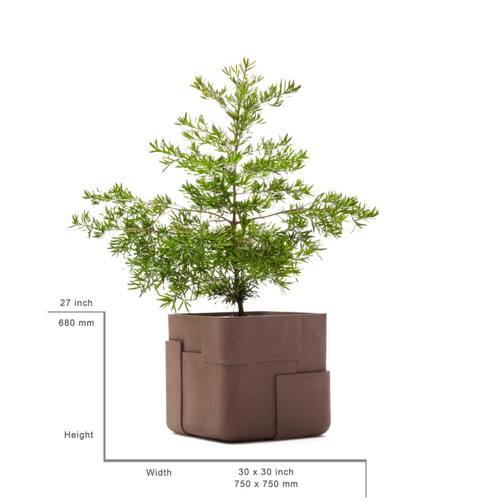 Aarde Planter – Square Outdoor Planters Indigenus