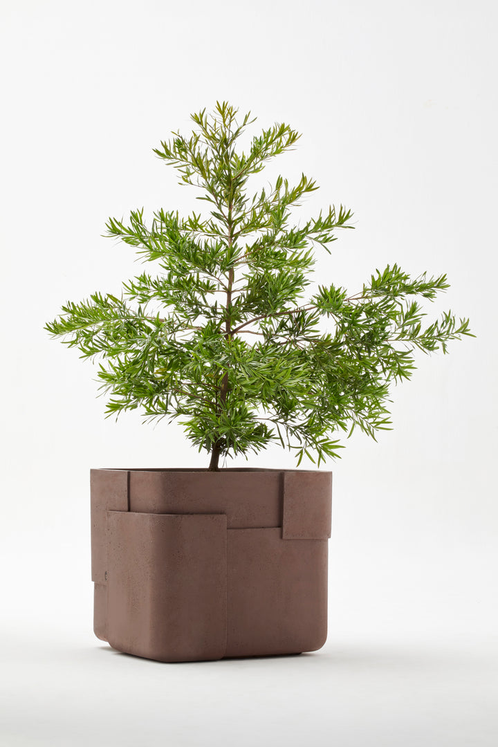 Aarde Planter – Square XS Outdoor Planters Indigenus