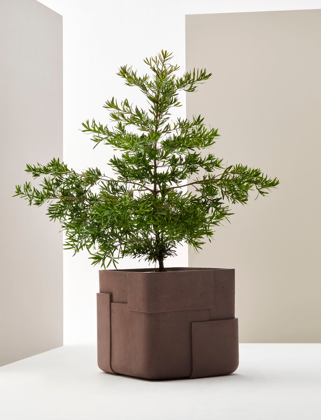 Aarde Planter – Square XS Outdoor Planters Indigenus