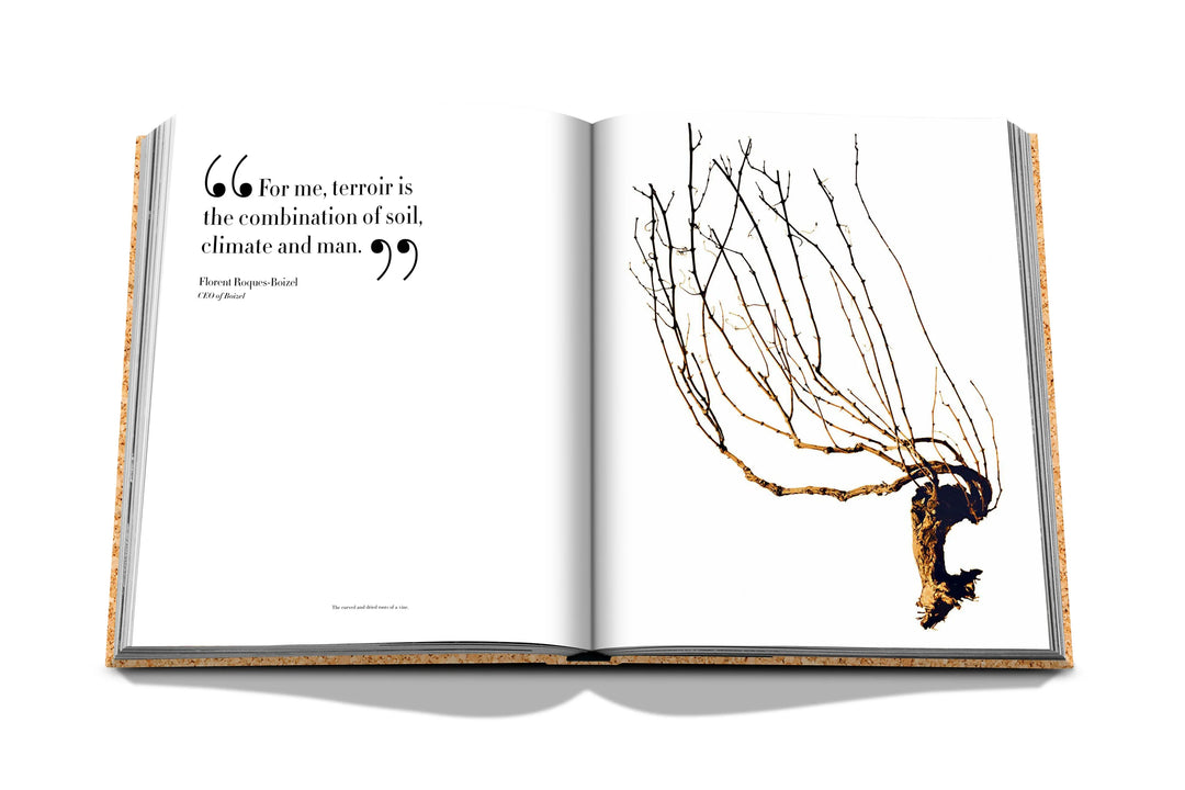 The Impossible Collection of Champagne Book Print Books Assouline   