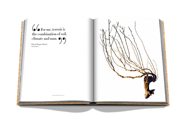 The Impossible Collection of Champagne Book Print Books Assouline   