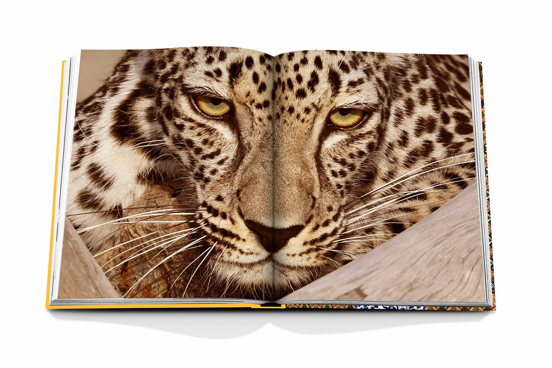 Arabian Leopard Book (Classic) Print Books Assouline