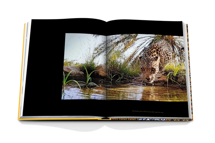 Arabian Leopard Book (Classic) Print Books Assouline