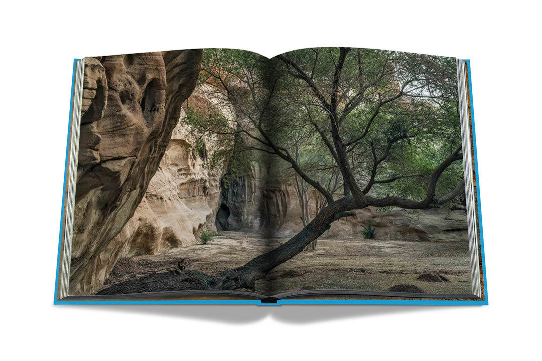 AlUla (2nd Edition) Book Print Books Assouline   