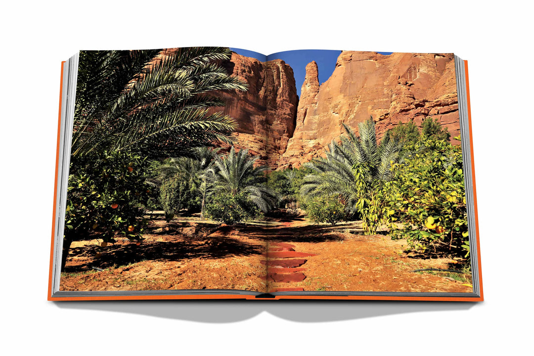 AlUla Ever Book Print Books Assouline   