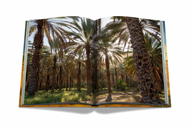 Arabian Leopard (Ultimate) Book Print Books Assouline   