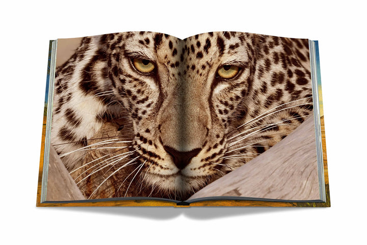 Arabian Leopard (Ultimate) Book Print Books Assouline   