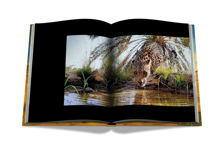 Arabian Leopard (Ultimate) Book Print Books Assouline   