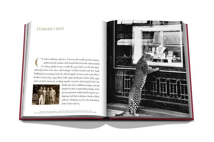 Cartier: The Impossible Collection Book Print Books Assouline   
