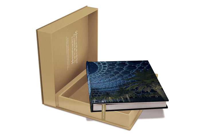 Expo 2020 Dubai: The Definitive Edition Book Print Books Assouline   