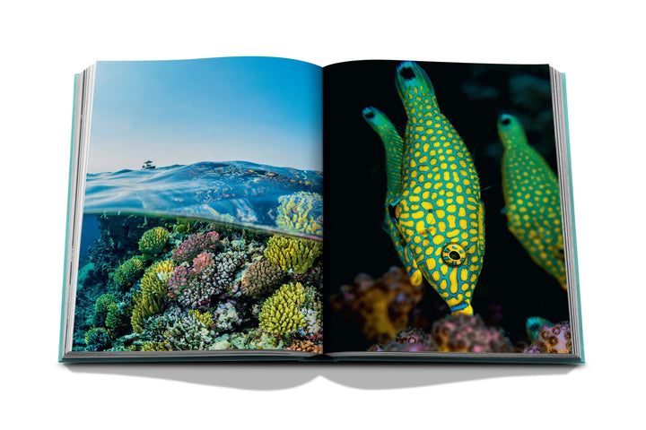 Saudi Arabia: Red Sea, The Saudi Coast Book Print Books Assouline   