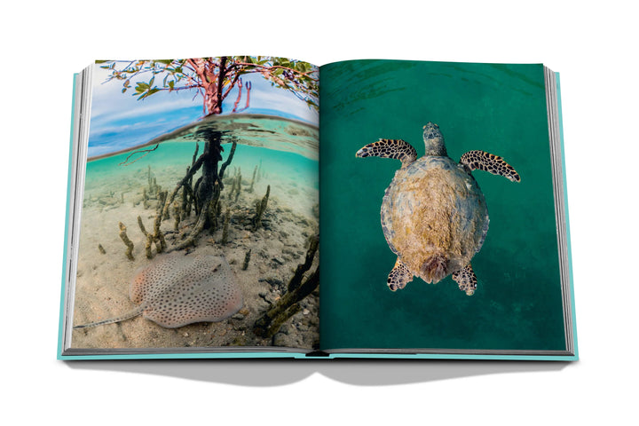 Saudi Arabia: Red Sea, The Saudi Coast Book Print Books Assouline   