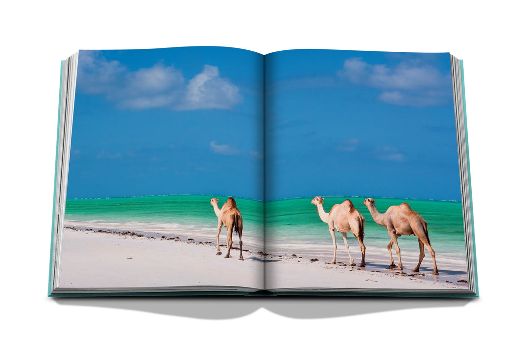 Saudi Arabia: Red Sea, The Saudi Coast Book Print Books Assouline   