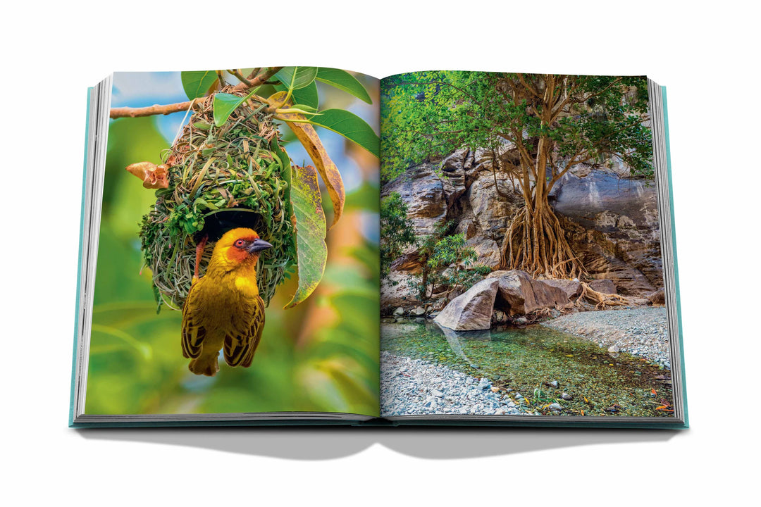 Saudi Arabia: Red Sea, The Saudi Coast Book Print Books Assouline   