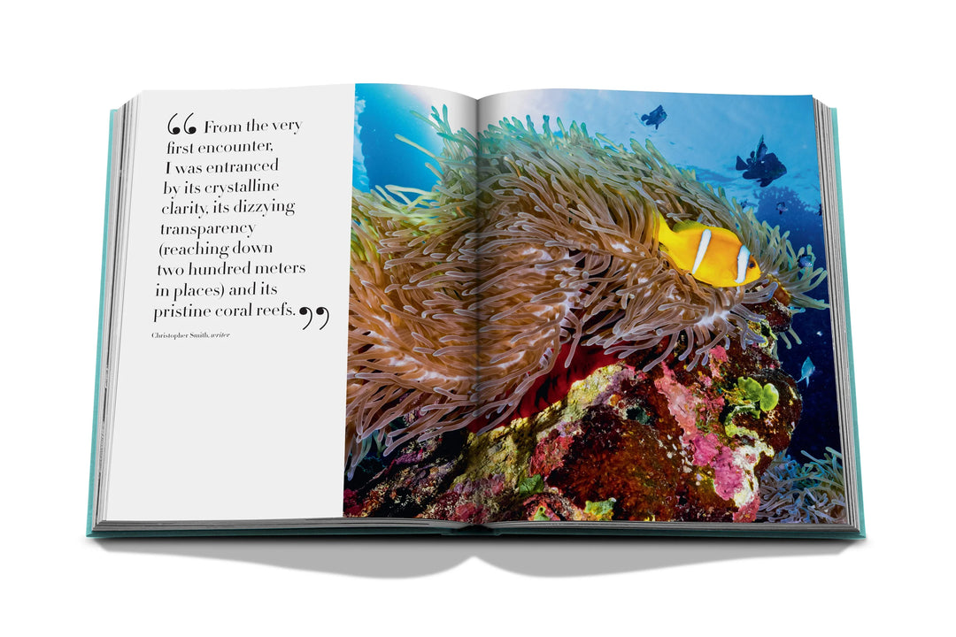 Saudi Arabia: Red Sea, The Saudi Coast Book Print Books Assouline   