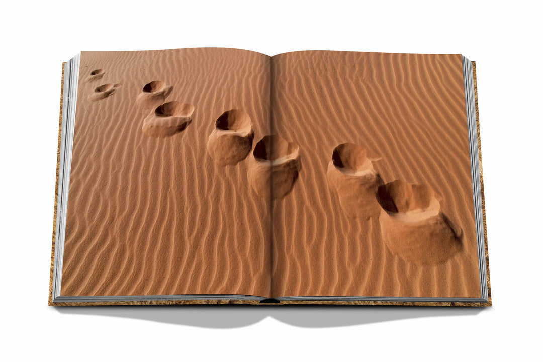 Camels from Saudi Arabia Book Print Books Assouline   