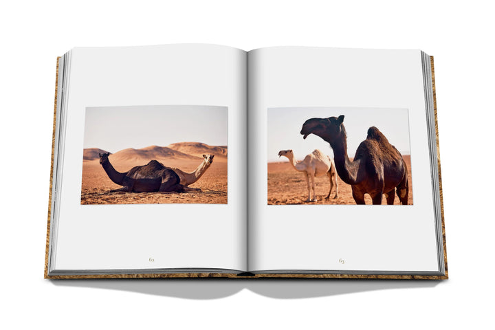Camels from Saudi Arabia Book Print Books Assouline   