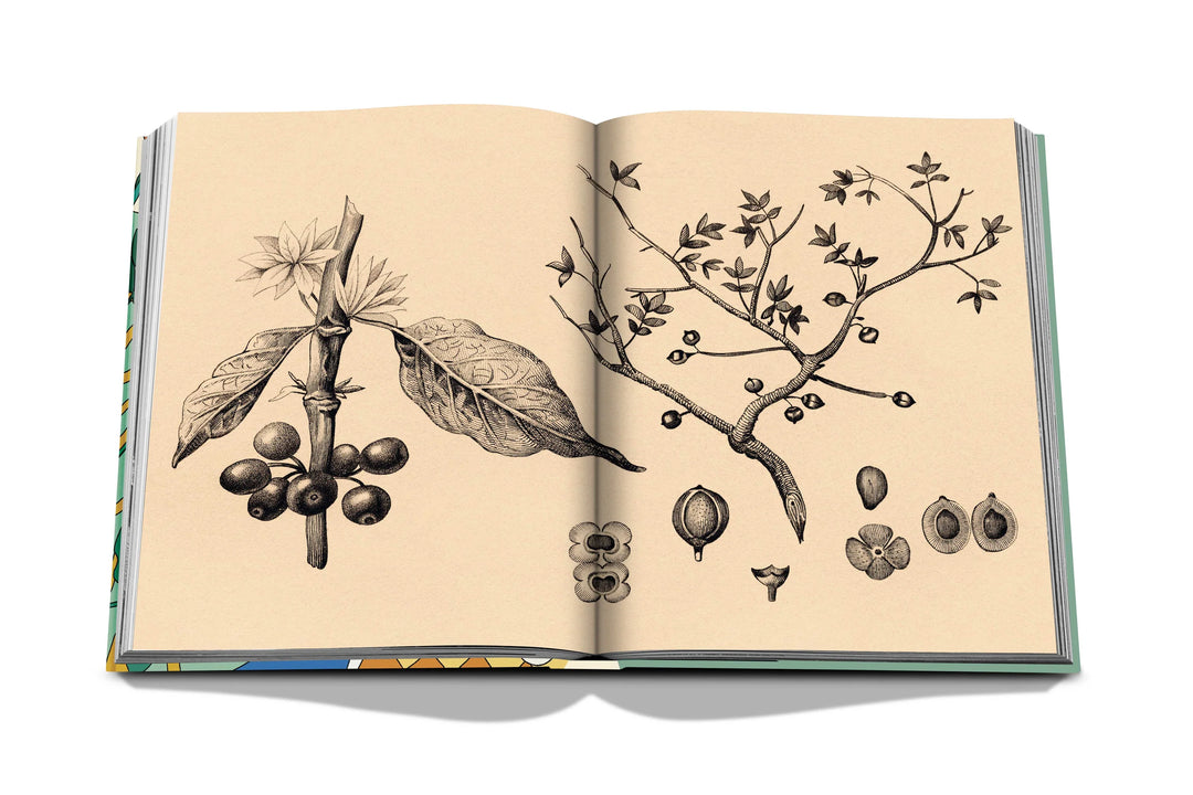 Saudi Coffee: The Culture of Hospitality Book Print Books Assouline   