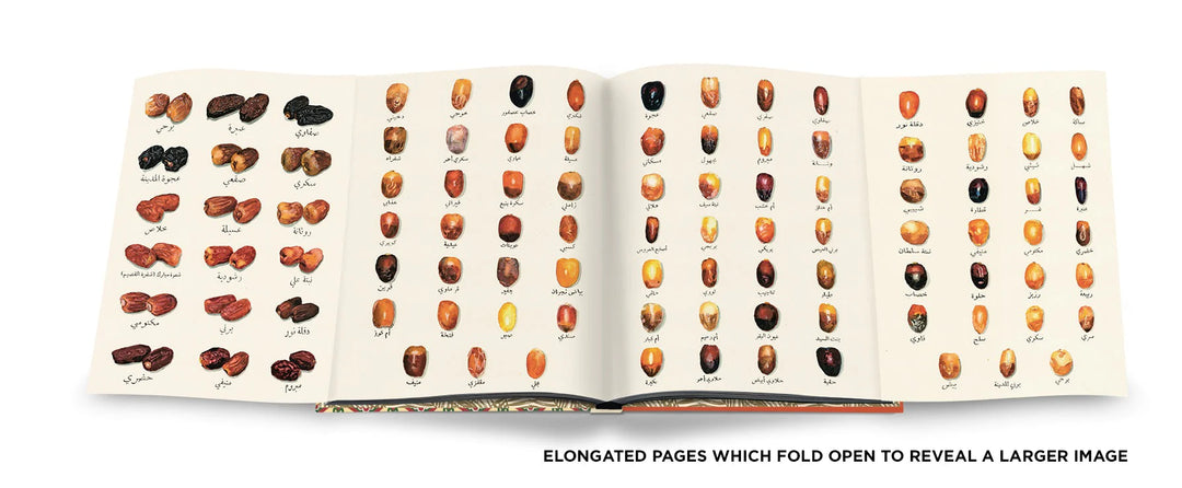 Saudi Dates: A Portrait of the Sacred Fruit Book Print Books Assouline   