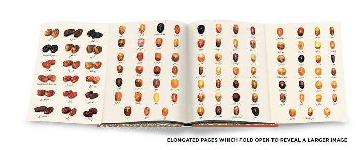 Saudi Dates: A Portrait of the Sacred Fruit Book Print Books Assouline   