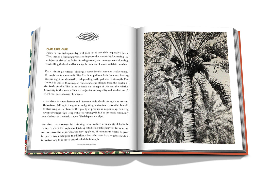 Saudi Dates: A Portrait of the Sacred Fruit Book Print Books Assouline   