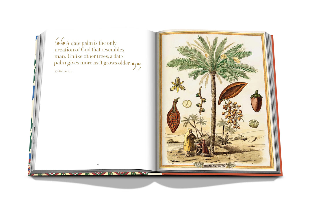 Saudi Dates: A Portrait of the Sacred Fruit Book Print Books Assouline   