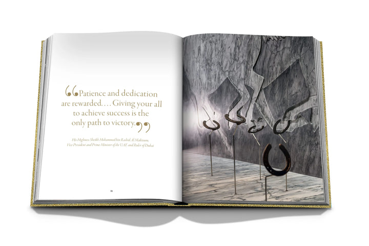 Expo 2020 Dubai: The Vision Pavilion Book Print Books Assouline   