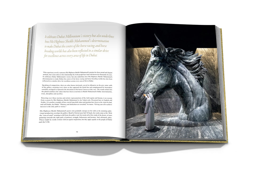 Expo 2020 Dubai: The Vision Pavilion Book Print Books Assouline   
