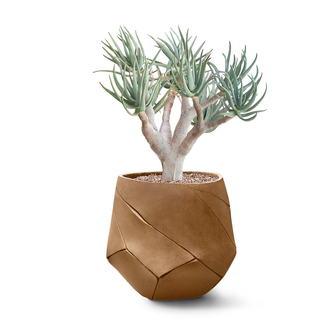 Bhaca Planter – Small Outdoor Planters Indigenus Nutmeg