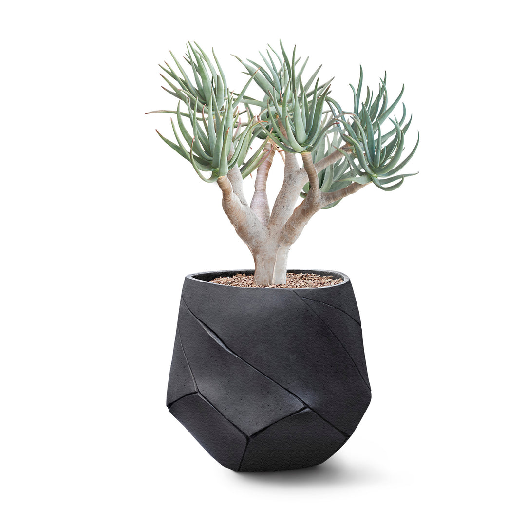 Bhaca Planter – Small Outdoor Planters Indigenus Black