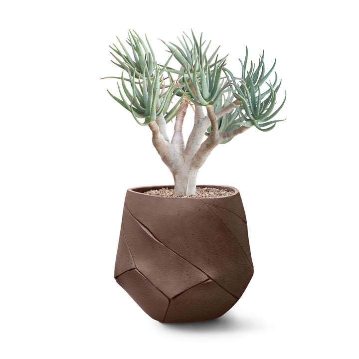 Bhaca Planter – Small Outdoor Planters Indigenus Brown