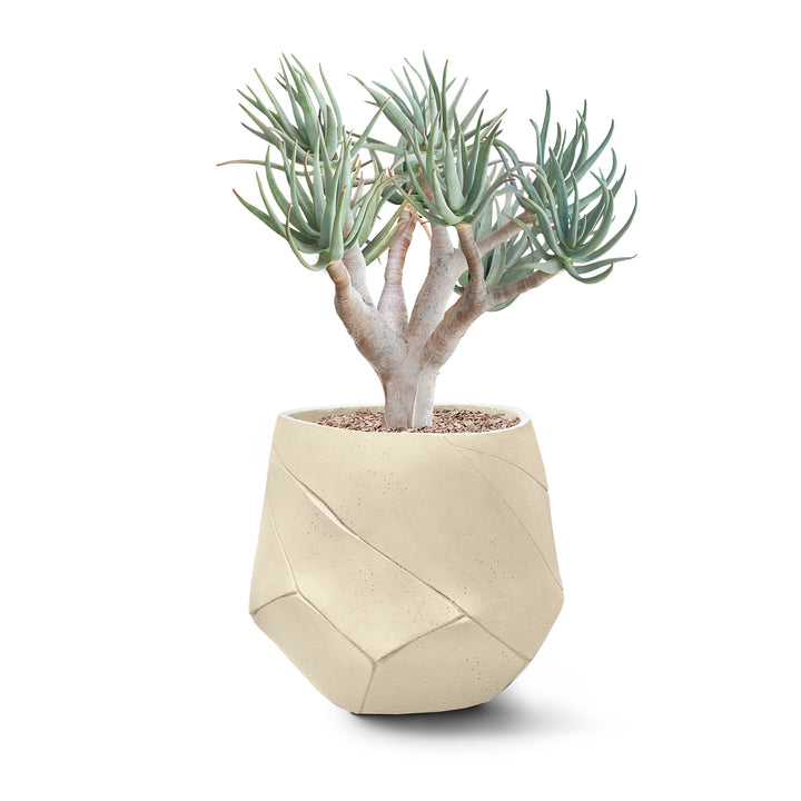 Bhaca Planter – Small Outdoor Planters Indigenus Sandstone