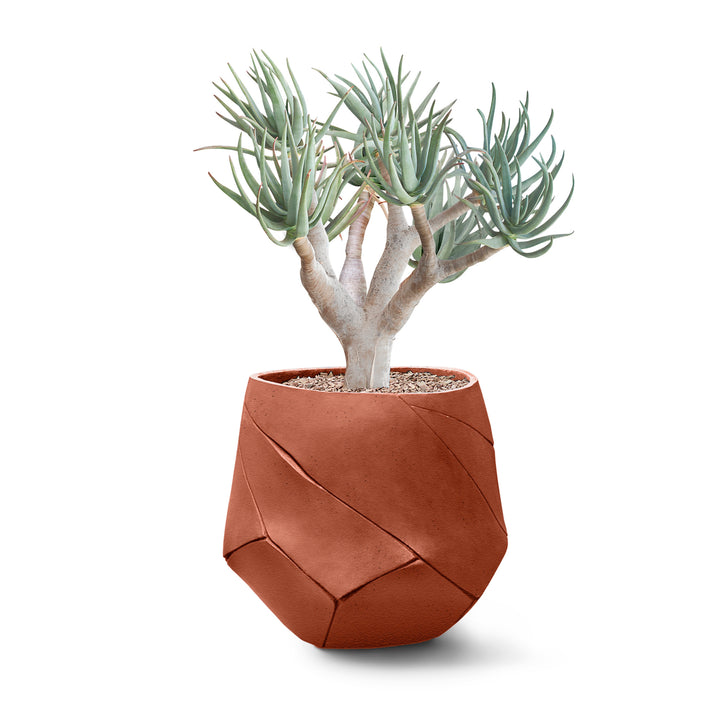 Bhaca Planter – Small Outdoor Planters Indigenus Terracota