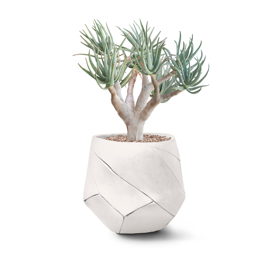 Bhaca Planter – Small Outdoor Planters Indigenus White