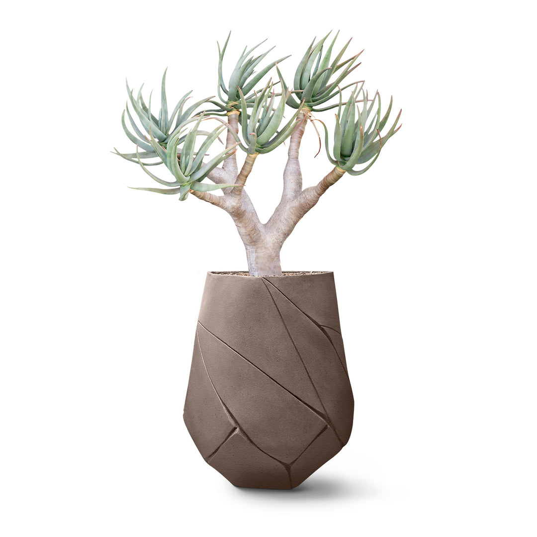Bhaca Planter – Medium Outdoor Planters Indigenus Mushroom
