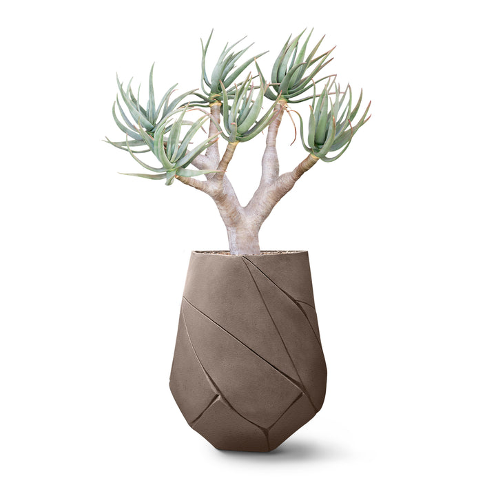 Bhaca Planter – Medium Outdoor Planters Indigenus Mushroom