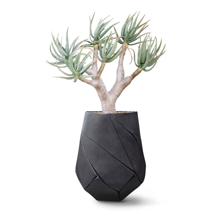 Bhaca Planter – Medium Outdoor Planters Indigenus Black