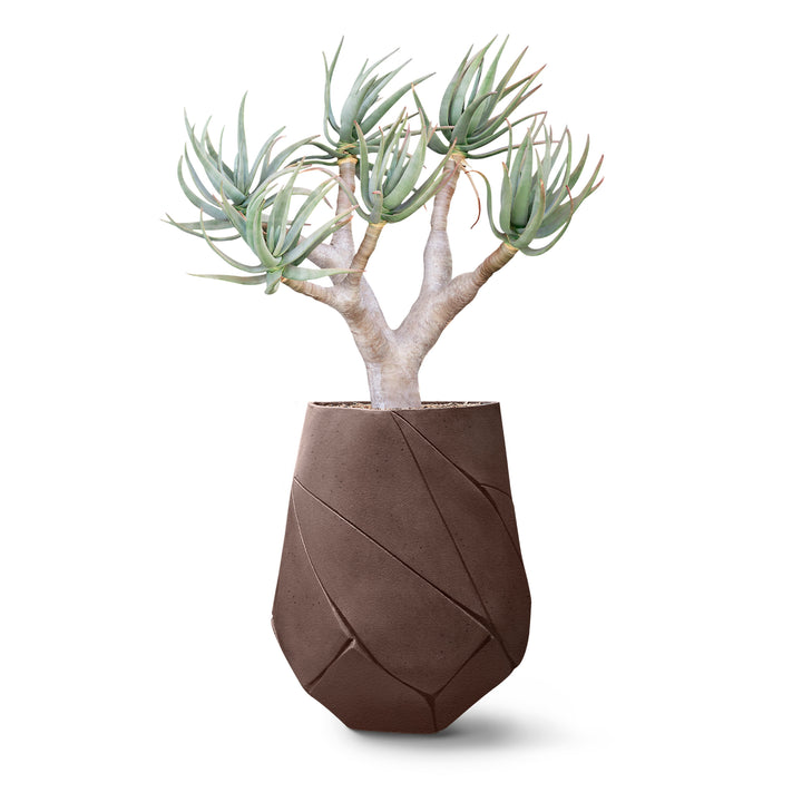 Bhaca Planter – Medium Outdoor Planters Indigenus Brown
