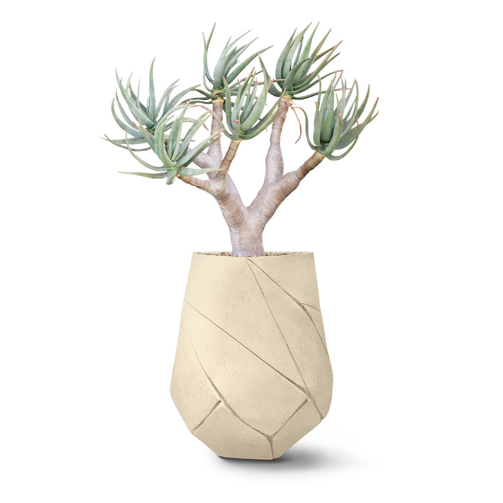 Bhaca Planter – Medium Outdoor Planters Indigenus Sandstone