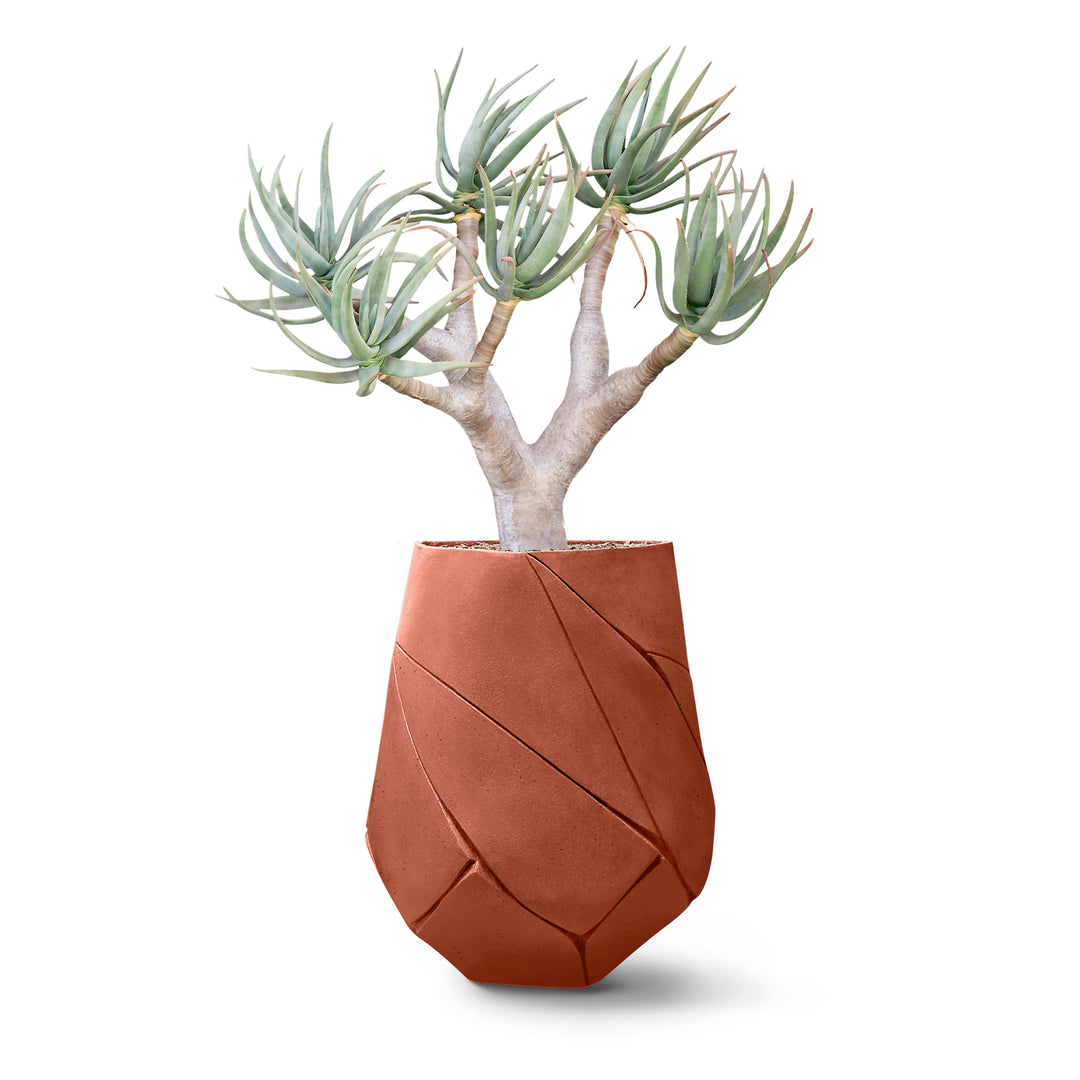 Bhaca Planter – Medium Outdoor Planters Indigenus Terracota