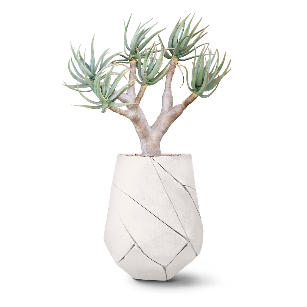 Bhaca Planter – Medium Outdoor Planters Indigenus White