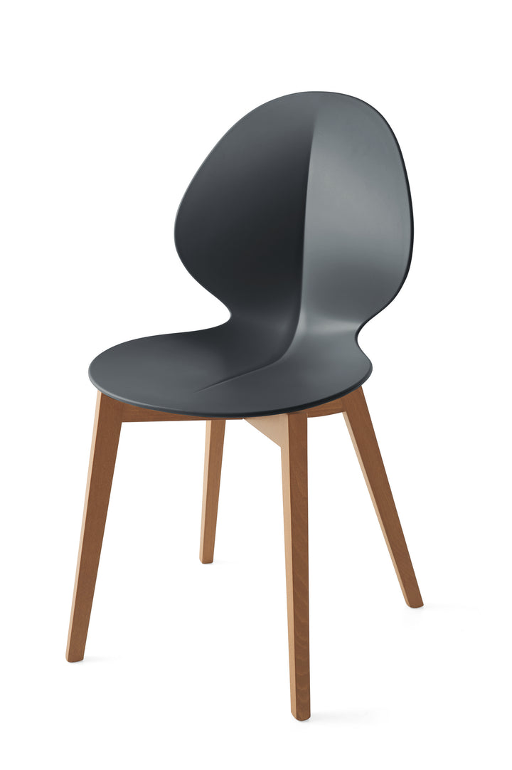 Basil Chair Walnut Matt Grey  Calligaris   