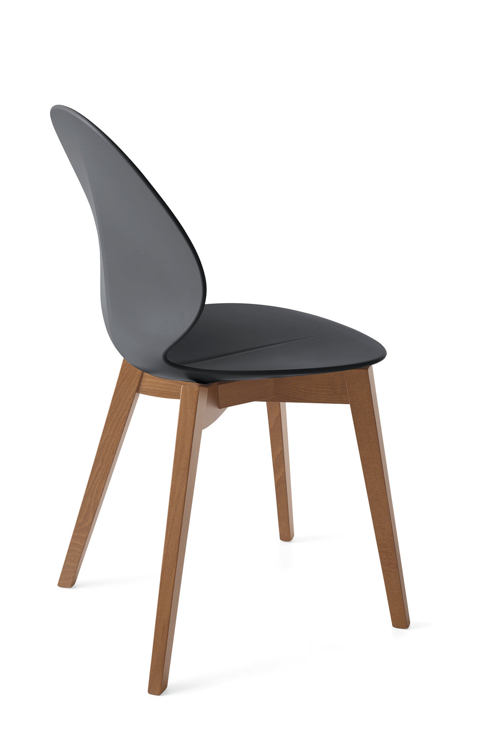Basil Chair Walnut Matt Grey  Calligaris   