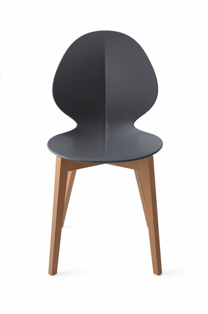 Basil Chair Walnut Matt Grey  Calligaris   