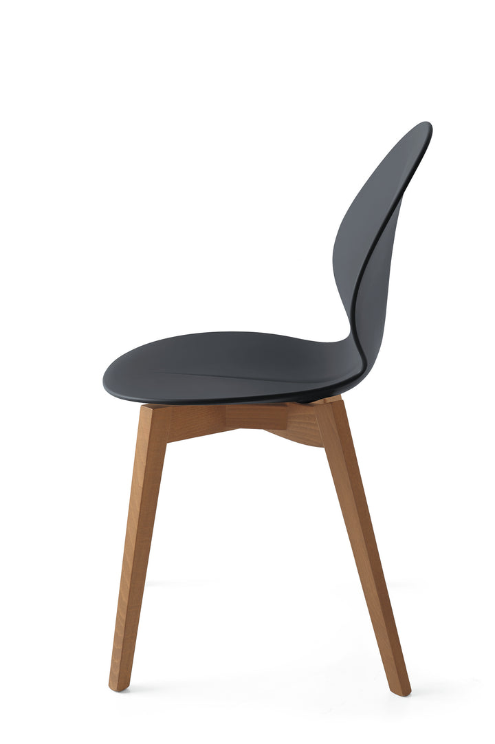 Basil Chair Walnut Matt Grey  Calligaris   