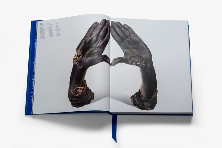 The Book of HOV: A Tribute to Jay-Z (Ultimate) Print Books Assouline